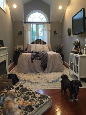 painted Dorian Gray Bedroom with bed in front of window and two dogs