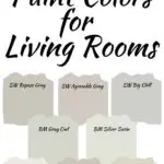 AMazin Living Room Paint Colors (2) (1)