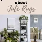 Everything You need to know about jute rugs