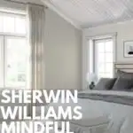 Sherwin Williams Mindful GRay