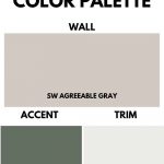 agreeable gray colo palette