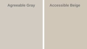 Sherwin Williams Accessible Beige SW 7036 Paint Color Review - West ...