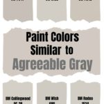 Paint Colors Similar to Agreeable Gray