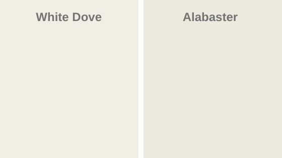 White Dove vs. Alabaster (1)