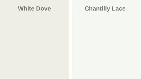White Dove vs. Chantilly Lace 