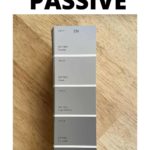 SW Passive color review