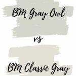 gray owl vs classic gray