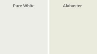 Surprising Sw Pure White Vs Alabaster Images