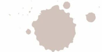 The Best Blush Paint Colors - West Magnolia Charm