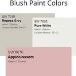 Blush paint colors palette