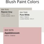 Blush paint colors palette
