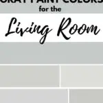 cool gray paint color graphic