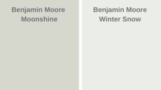 Benjamin Moore Moonshine OC-56 - Color Review - West Magnolia Charm