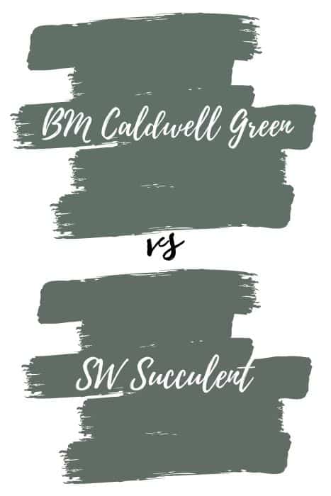 BM Caldwell Green vs SW Succulent 