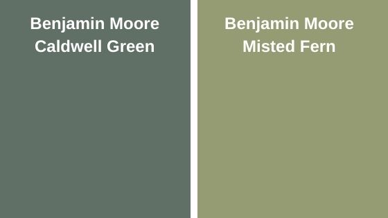 Caldwell Green vs misted fern (1)