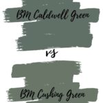 Caldwell vs Cushing