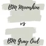 Moonshine vs Gray Owl graphic