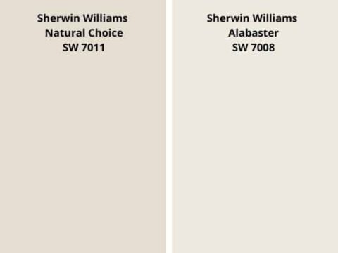 Sherwin Williams Natural Choice SW 7011 Review - West Magnolia Charm