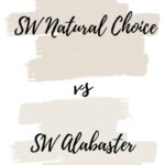 natural choice vs alabaster