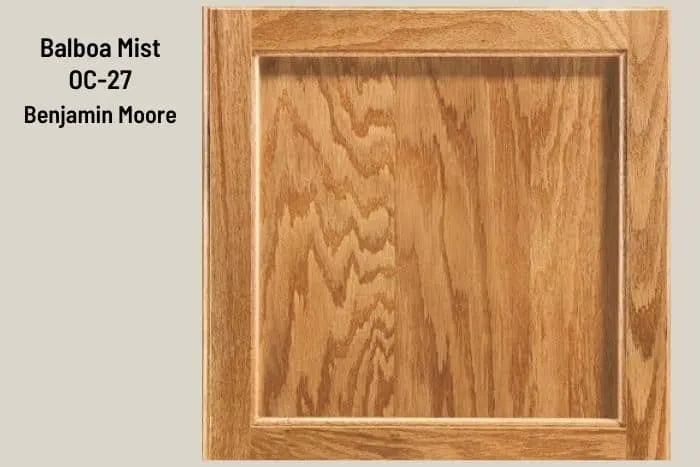 Balboa Mist and Honey Oak Cabinet Door