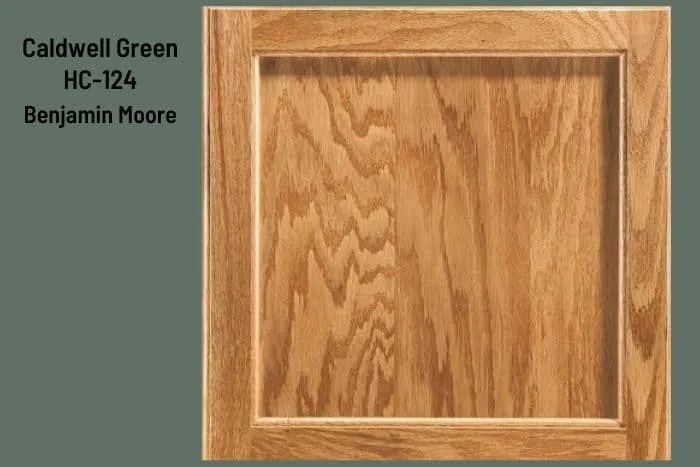 Caldwell Green and Honey Oak Cabinet Door