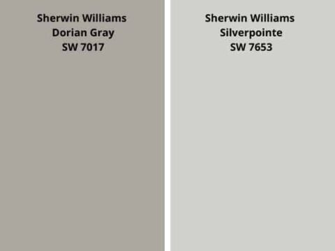 Sherwin Williams Dorian Gray SW 7017 Color Review - West Magnolia Charm