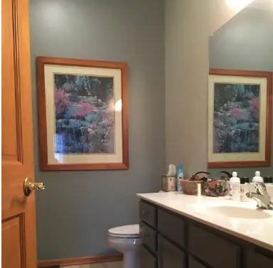 bathroom with repose gray wall