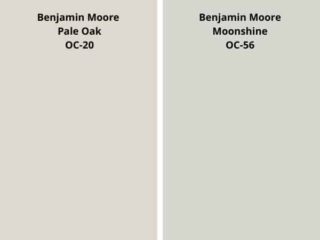 Pale Oak by Benjamin Moore - A Sophisticated Neutral - West Magnolia Charm
