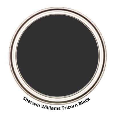 SW Tricorn Black PAINT CAN SWATCH