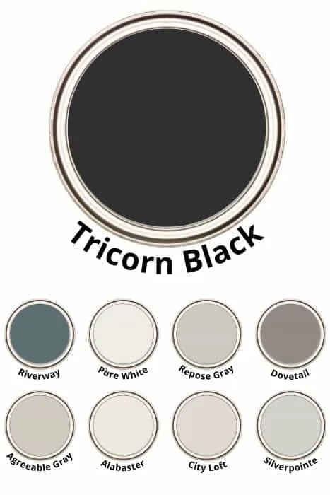 paint color palette for Tricorn Black 