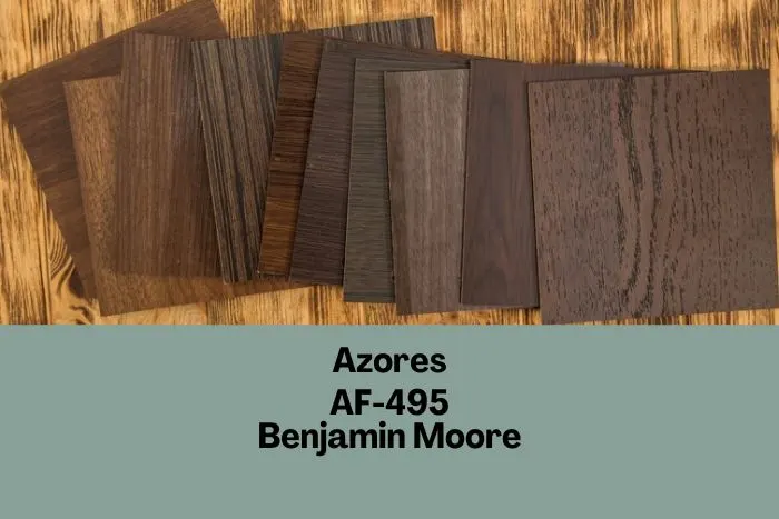 dark wood samples graphic
