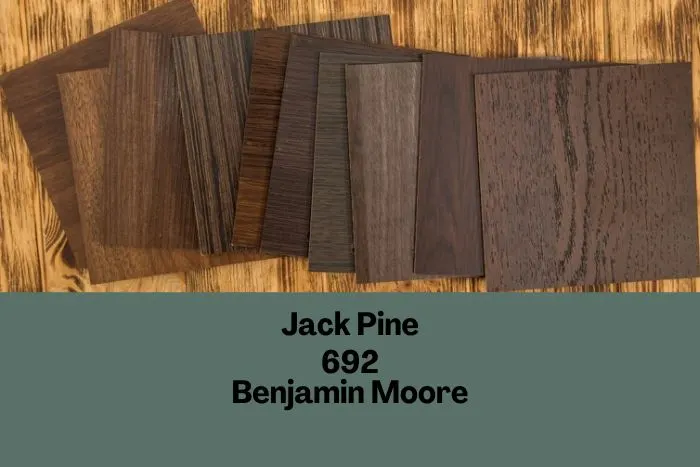 dark wood samples graphic