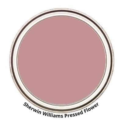 Sherwin WIlliams Pressed Flower paint can swatch