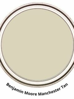 BM Manchester Tan paint can swatch