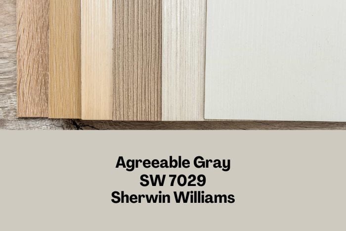 Agreeable Gray with wood samples