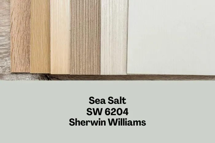 sea salt with wood samples