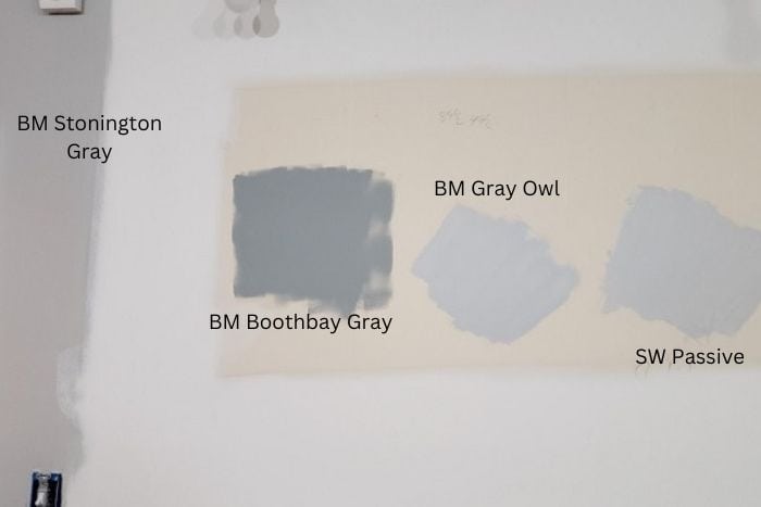 paint swatches on wall