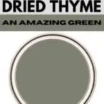 dried thyme pinterest image