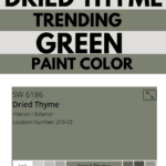 _dried thyme trending paint color