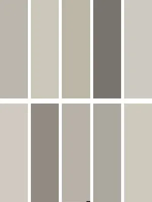 Best SW Grays Bundle