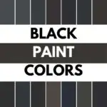 Black Paint Colors graphic