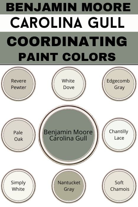 carolina Gull coordinating paint colors graphic
