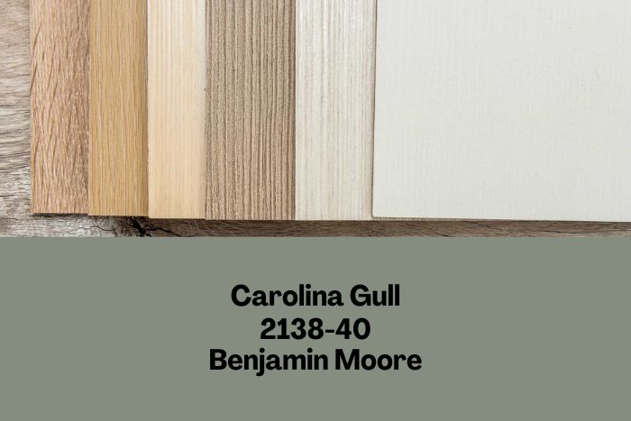 Carolina Gull with light wood