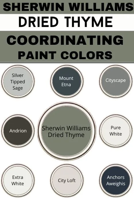 Sherwin WIlliams Dried Thyme coordinating paint colors graphic