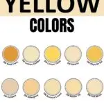Yellow Sherwin Williams colors graphic