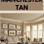 manchester tan walls in living room