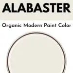 alabaster paint color graphic