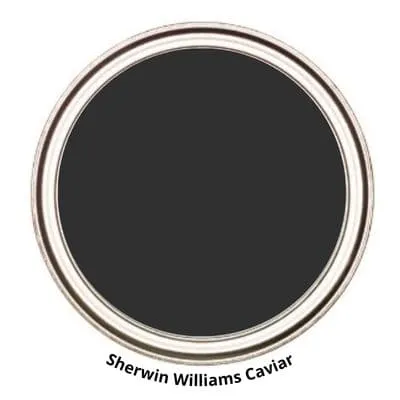 caviar digital paint can swatch
