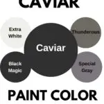 Caviar Paint Color Palette graphic