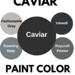 Caviar Paint Color Palette graphic